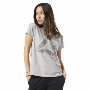 Reebok Graphic Series Aerowarm Easy T Shirt Damen - Grau - DE 571-JBT